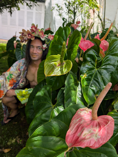 Hawaii Flower Dress 16