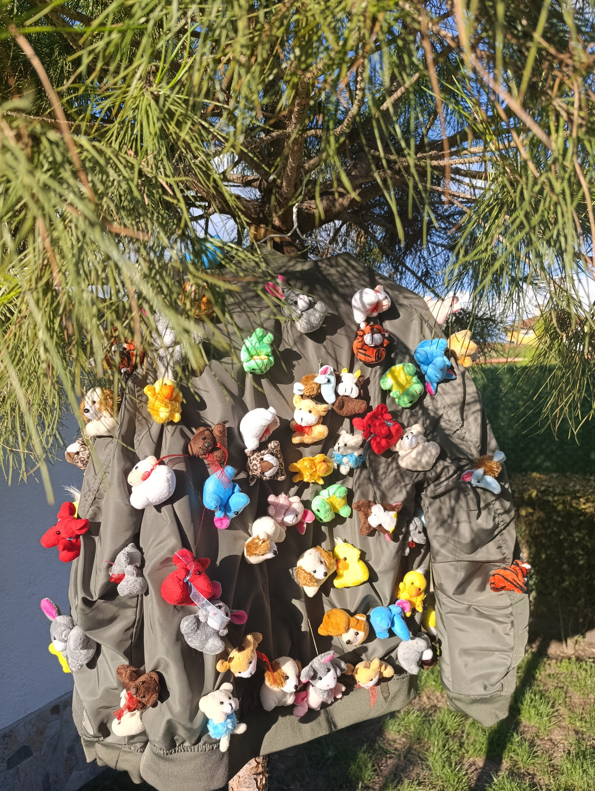 Toys Jacket - PAULINA'S FRIENDS
